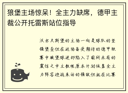 狼堡主场惊呆！全主力缺席，德甲主裁公开托雷斯站位指导