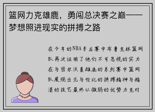 篮网力克雄鹿，勇闯总决赛之巅——梦想照进现实的拼搏之路