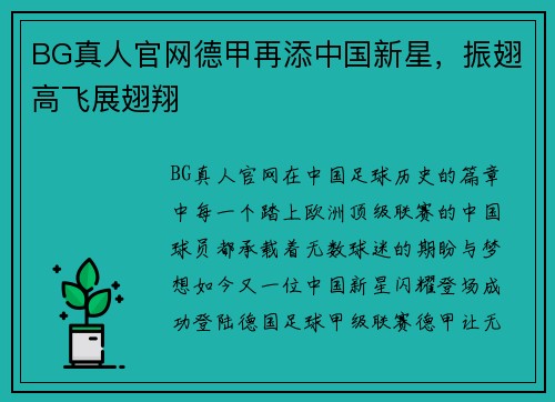 BG真人官网德甲再添中国新星，振翅高飞展翅翔